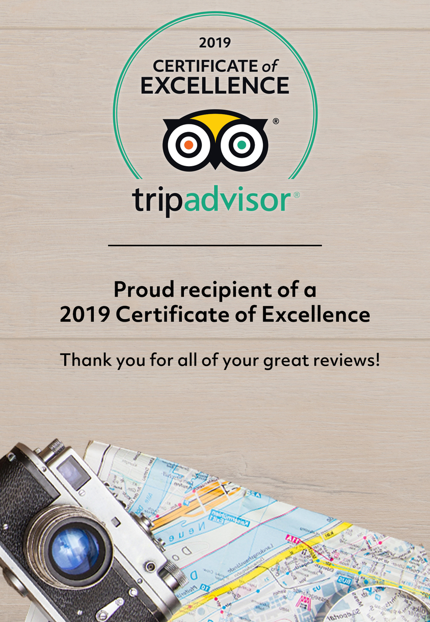 Single Fin Surf School Tripadvisor 2019 Certificate of Excellence Recipient Single Fin Surf School Vietnam is pleased to announce it is a recipient of the 2019 Certificate of Excellence from TripAdvisor.